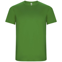 Green Fern