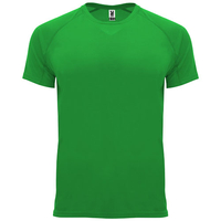 Green Fern