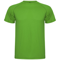 Green Fern