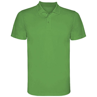 Green Fern